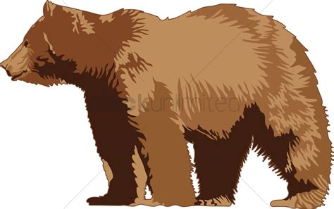 Grizzly Bear Vector Image 2011814 Stockunlimited