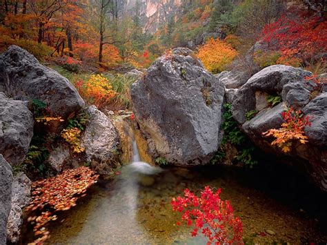 Fond D Ecran Chute D Eau Et Cascade Image Wallpaper