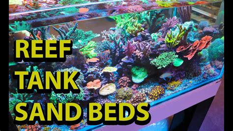Reef Tank Sand Beds Youtube