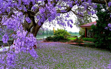 Spring Nature Wallpapers - Wallpaper Cave