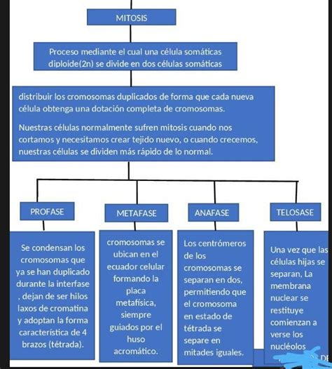 Ciencia Y Medicina Progresos M Dicos