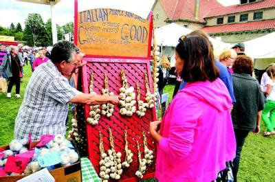 So, you want to grow great garlic in wisconsin? Cuba Garlic Festival to mark a dozen stinky years this ...