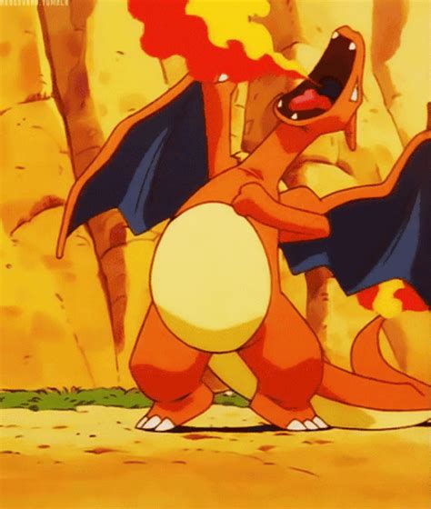 Charizard Wiki Pokémon Amino