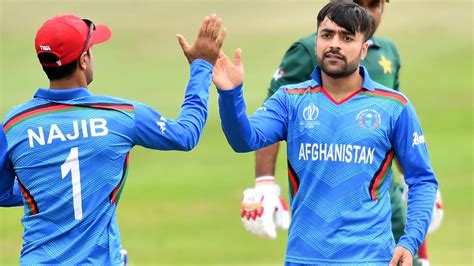 Any love for this mayo? Cricket World Cup 2019, Australia vs Afghanistan: Glenn ...