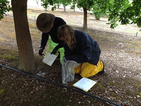 We will learn methods to identify pests and diseases in the field, methods to avoid the occurrence of pests and diseases, principles of biological control and pesticides, their properties and how to wisely use. Australian Truffle Pest & Disease Newsletter Issue 5 ...