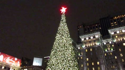 Our goal is to provide exceptional tree service to all residential and commercial clients looking to maintain. Christmas Tree Union Square San Francisco California 2016 ...
