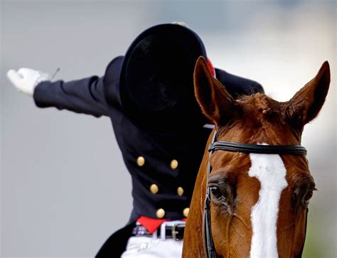 What breeds of horses are on the olympic equestrian team? salute - equestrian style | Equestrian Style | Pinterest ...