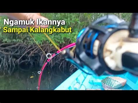 Mancing Dapat Jekpot Ikan Kaneke Besar YouTube