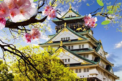 12 Attractions Touristiques Les Mieux Notées à Osaka Maho