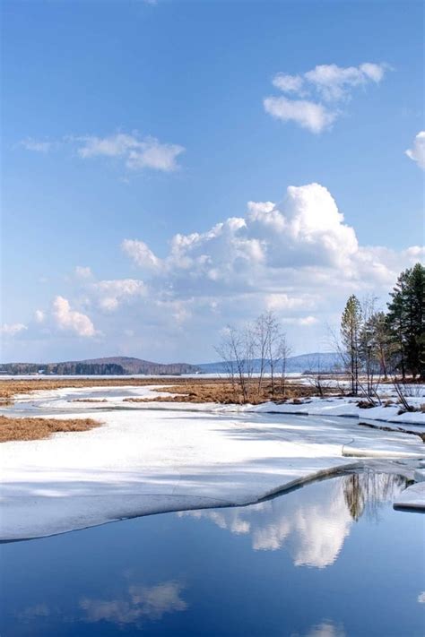 Maybe you would like to learn more about one of these? Winterbilder Tiere Als Hintergrundbild / Fruhling Bilder ...