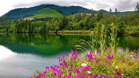 Mountain River In The Summer River Hills Beautiful Mountain