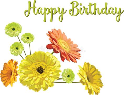 Happy Birthday Daisy Flowers Green Card Stock Illustrations 199 Happy