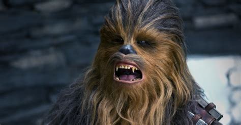 Watch Chewbacca Answer Burning Star Wars Questions Video