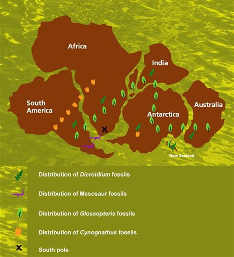 Gondwana Supercontinent Map