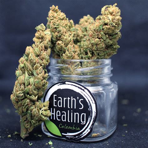 High-CBG Varieties - Earth's Healing Colombia