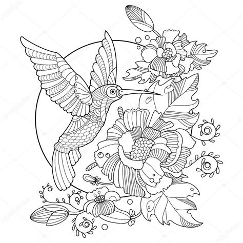 Hummingbird Coloring Book For Adults Vector ⬇ Vector Image By