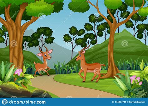 Cute Two Gazelle Playing In The Jungle Stock Vector - Illustration of natural, drawing: 144874746