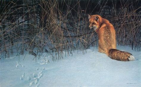 Robert Bateman Paintings Nature Artists Wildlife Artists Wildlife