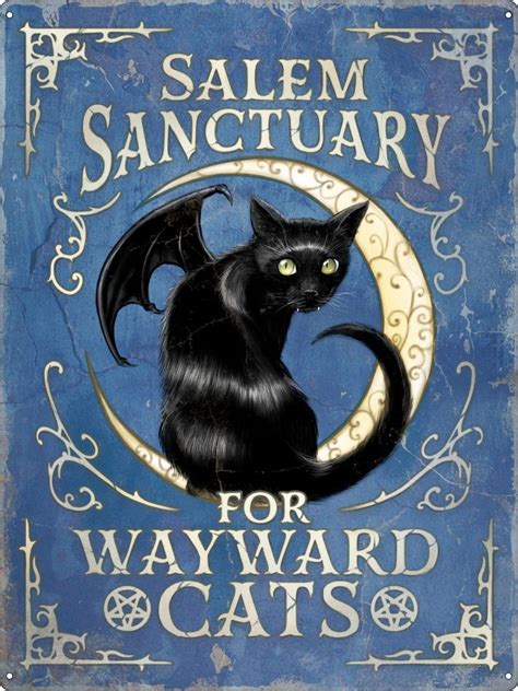 Salem Sanctuary For Wayward Cats Tin Sign In 2021 Tin Signs Cats Salem