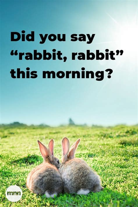 History | Rabbit illustration, Rabbit, Illustrations posters design
