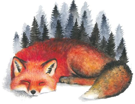 Sleeping Fox By Colorsofthewild Watercolor Fox Fox Painting Fox Art