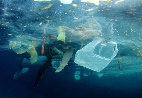 Plastic In The Ocean Documentary