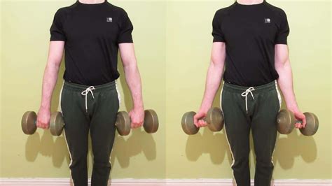 Dumbbell Wrist Twist Exercise For Forearms Tutorial