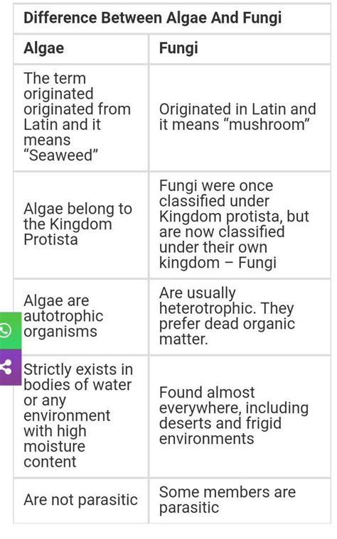 Write The Difference Between Algae And Fungi In Points