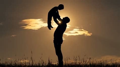 Una silueta del padre tomando al hijo en brazos, mirando. Padre e hijo jugando en el parque al atardecer silueta de ...