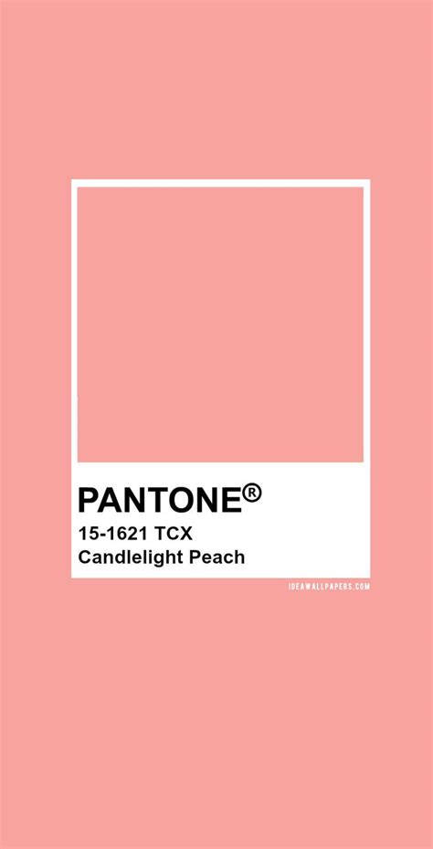 Pantone Candlelight Peach Pantone Color Pantone Peach Sexiz Pix