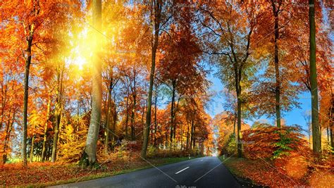دانلود 14 والپیپر و تصویر زمینه از طبیعت فصل پاییز با کیفیت فوق العاده
