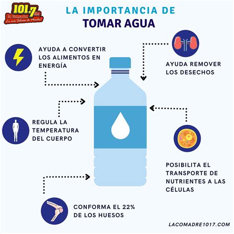Los Efectos Positivos De Beber Agua De Forma Constante
