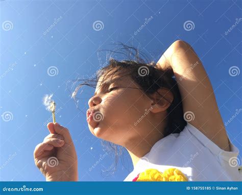 A Little Girl Blowing Dandelion Seeds Stock Image Image Of Emotion