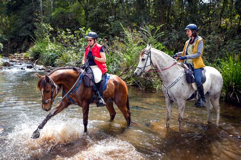 bush  beach  south wales australia horse riding holidays