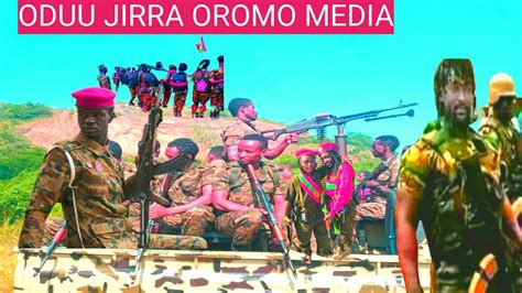 Oduu Xumura Ibsa Arrifachisa Dhamsa Hatatama News Free Oromo Youtube