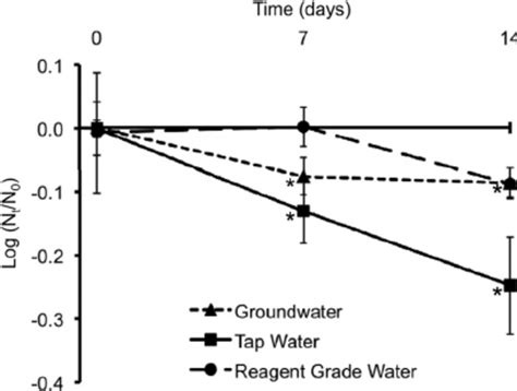 As a general rule, if you're at all in doubt, take water filters with you. Persistence of purified NV RNA in groundwater, tap water ...