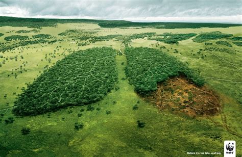 Wwf Before It´s Too Late Social Ads Creative Ads Advertising
