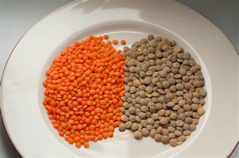 Диеты чечевица отзывы Как варить чечевицу ⋆ Вкусные рецепты полезной еды Как варить чечевицу ⋆ Вкусные рецепты полезной еды Диеты чечевица отзывы