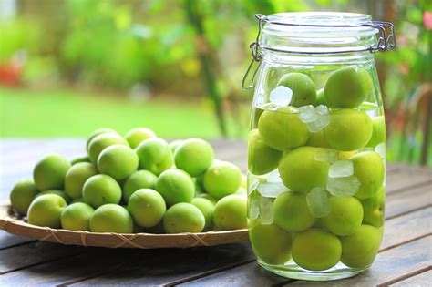 梅酒作りの最適な時期と期間はいつ？簡単おいしい梅酒の作り方と賞味期限