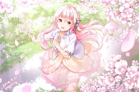Download 2560x1700 Anime Girl Sakura Blossom Pink Hair