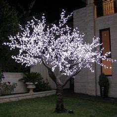 Experience lifelike solar blossom tree at alibaba.com, ideal for decorating indoors and outdoors. Related image | Blossom trees, Cherry blossom tree, Tree ...
