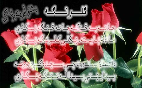 Latest and updated pashto funny sms in urdu. Gul Ranga Short Picture Pashto sms Poetry - Poetry Log ...