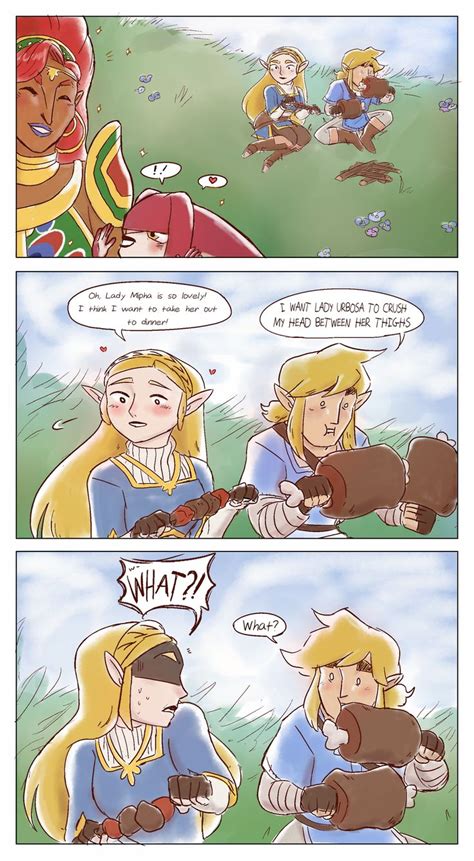 Link Has Good Taste The Legend Of Zelda Breath Of The Wild Legend Of Zelda Memes Legend Of