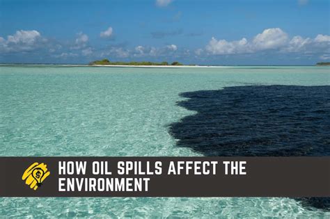 How Oil Spills Affect The Environment Entrepreneurship In A Box