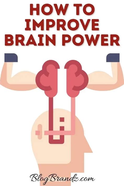 Learn How To Improve Brain Power Keep Your Mind Healthy Improve Your