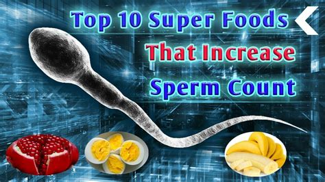 Top 10 Super Foods That Increase Sperm Count Youtube