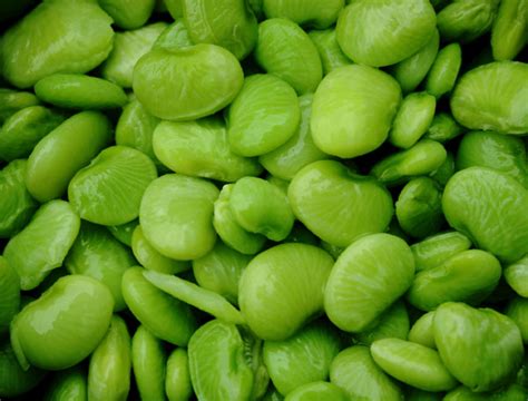 Lima Beans The Buttery Bean That Delights Purple Kitty