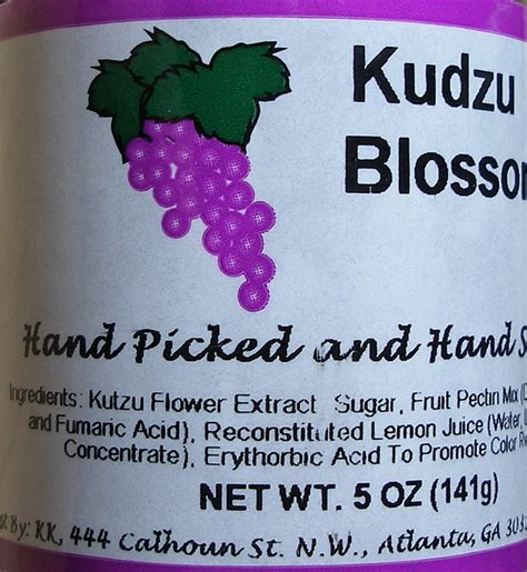 Kudzu Blossom Jelly Wikikudzu Also Known Flickr