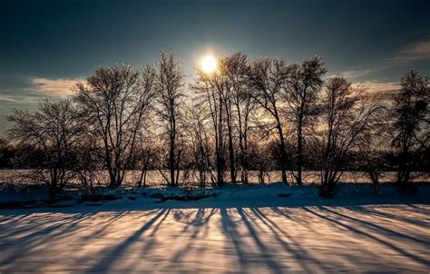 Wallpaper Cold Winter Morning Images For Desktop Section природа