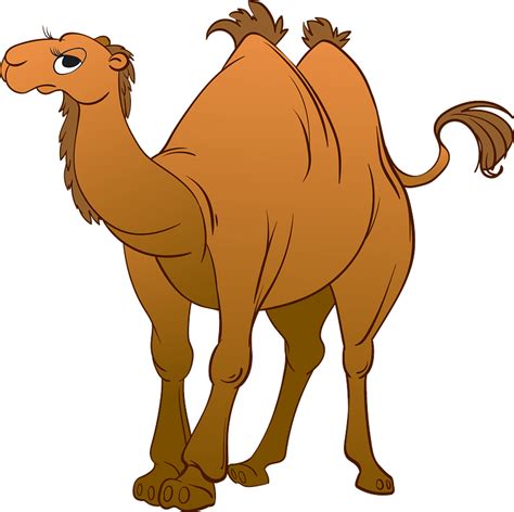 Camel Clip Art Images Free